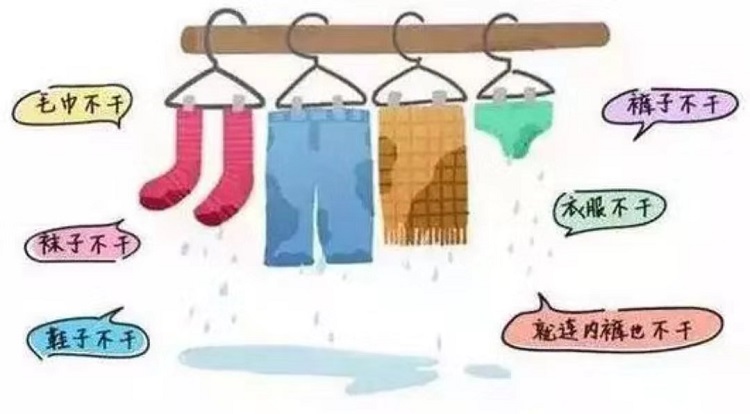 节育器生产厂家——华氏东方的办公室今天终于有太阳了