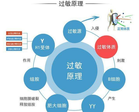 放置含铜避孕环过敏是怎么回事？